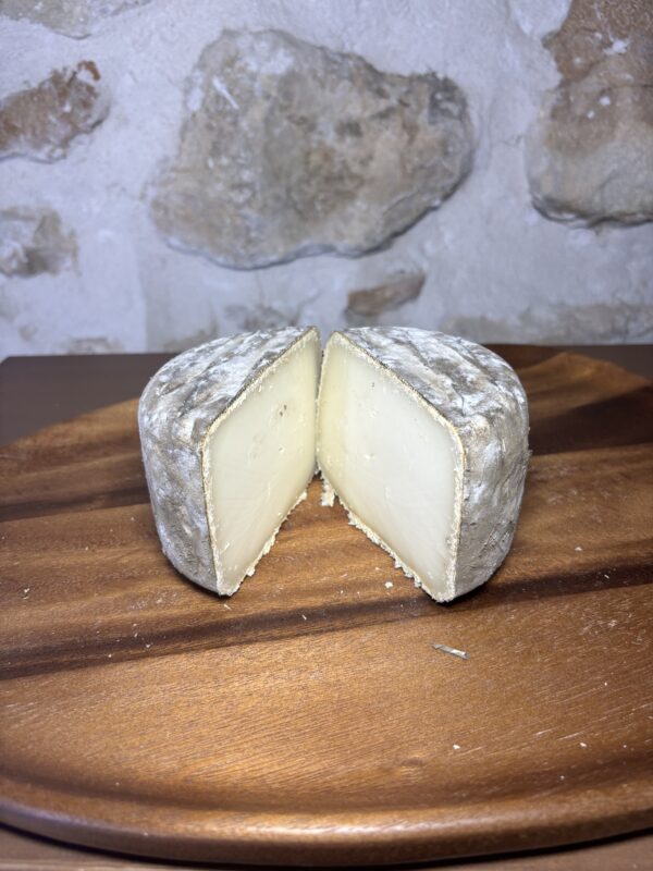 Tommette des Grands Causses