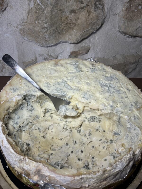 Gorgonzola Dolce